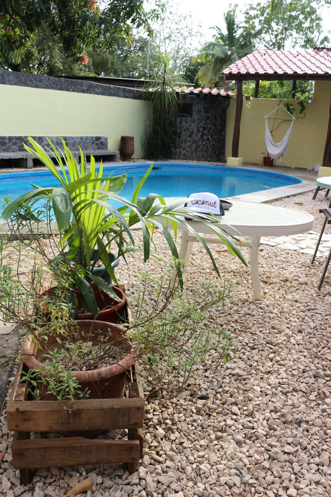 Coconut Beach House Playa Conchal Exteriör bild